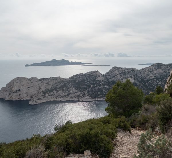 Blick auf die Calanque de Sormiou, weiße Kalkfelsen ragen schroff über dem Meer auf.